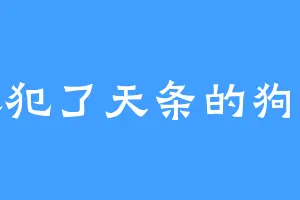 像犯了天条的狗蛋