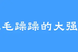 毛毛躁躁的大强鸭