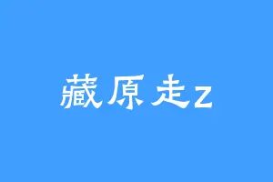 藏原走z