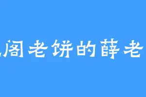 爱吃阁老饼的薛老爷子