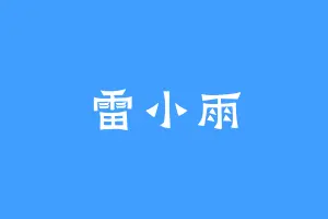 雷小雨