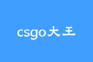 csgo大王