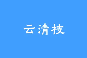 云清枝